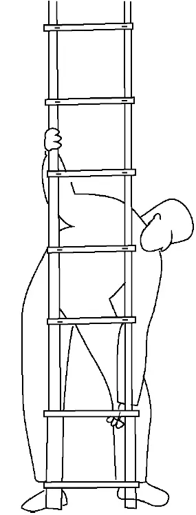 TOOLCRAFT 2622938 Telescopic Ladder 12