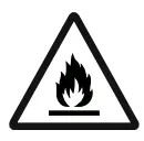 Fire Icon