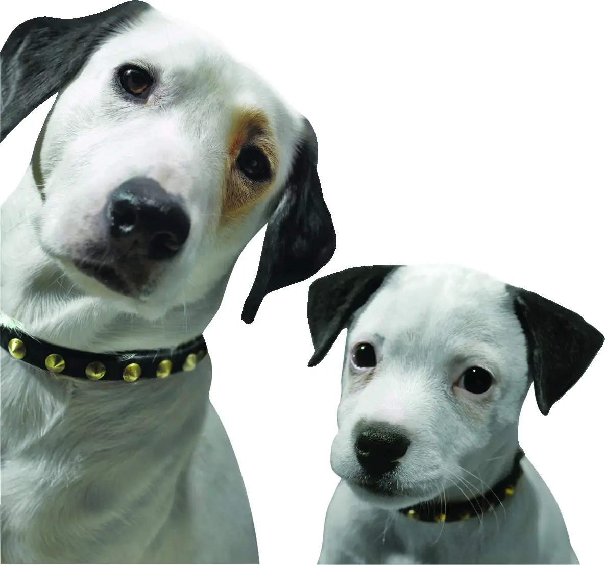 RCA RWNP41424 BK S 14 Inch Slim Laptop - Cover