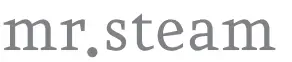 mr-steam-LOGO