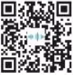 Saramonic Blink500T2 2.4GHz Dual Channel Wireless Microphone-fig-9