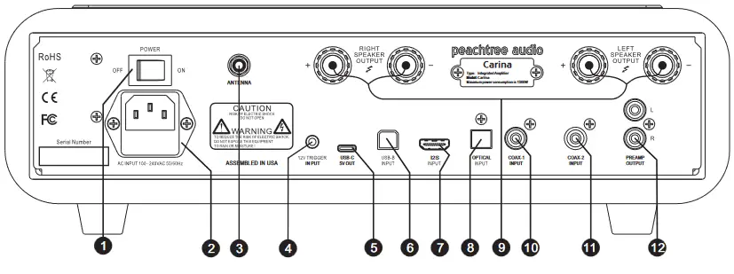 Peachtree Carina Integrated Amplifier - back panel