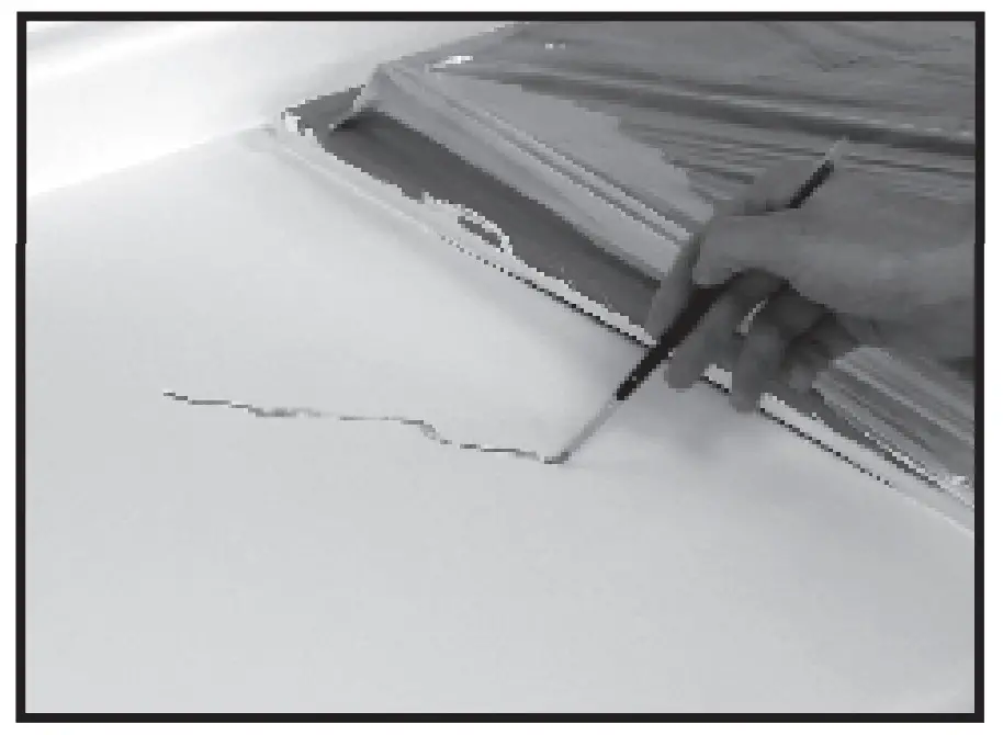 Accent Veins & Highlights