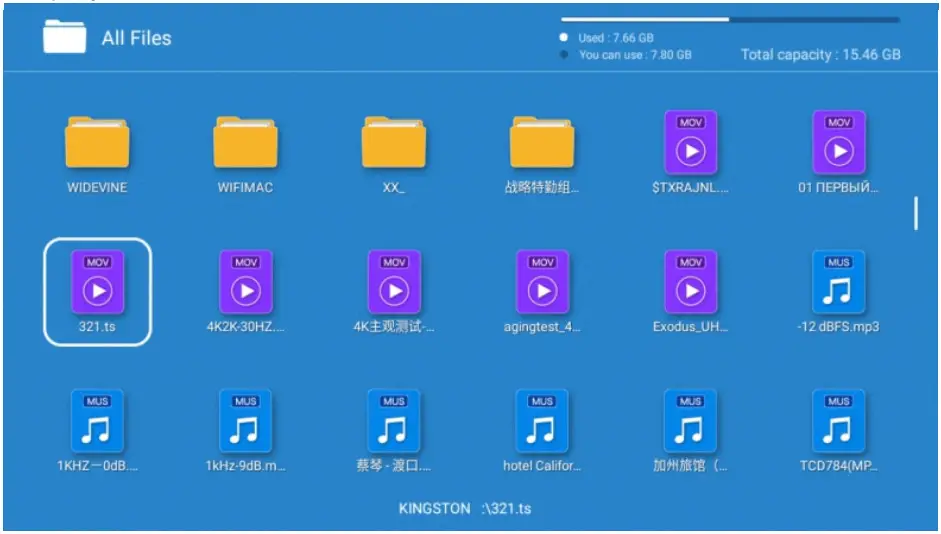 Sylvox Outdoor 55 Inch Outdoor TV - File Manager 2