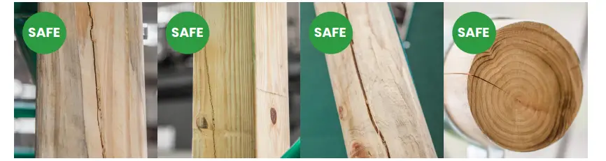 Forest Froli- Day-Dreamer-Swing-SetP-FIG.1