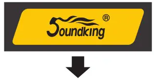 Soundking KC10DXSM01 KC Series Coaxial Monitors - DSP functions 3