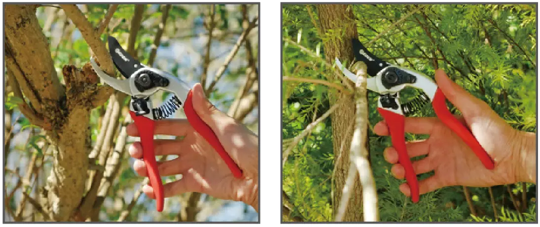 eden 39002EDAMZ Adjustable Bypass Pruning Shears - Blade Sharpening