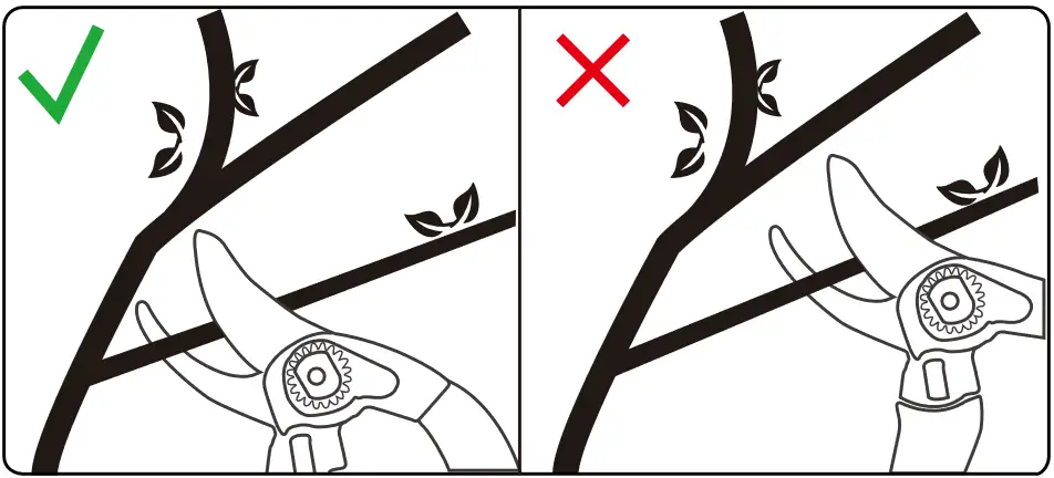 eden 39002EDAMZ Adjustable Bypass Pruning Shears - Pruning Tips 3