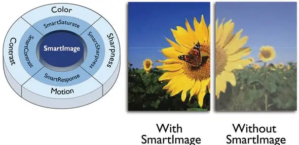 Philips V Line 241V8L00 LED Display-fig3