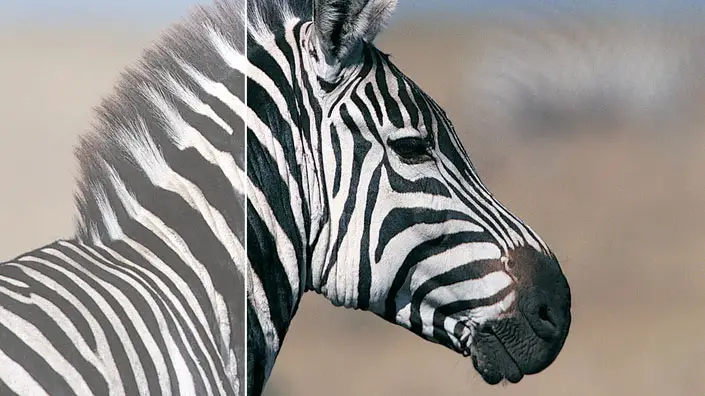 Philips V Line 241V8L00 LED Display-fig5