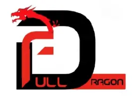 DULL RAGON logo