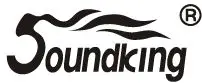 Soundking-LOGO