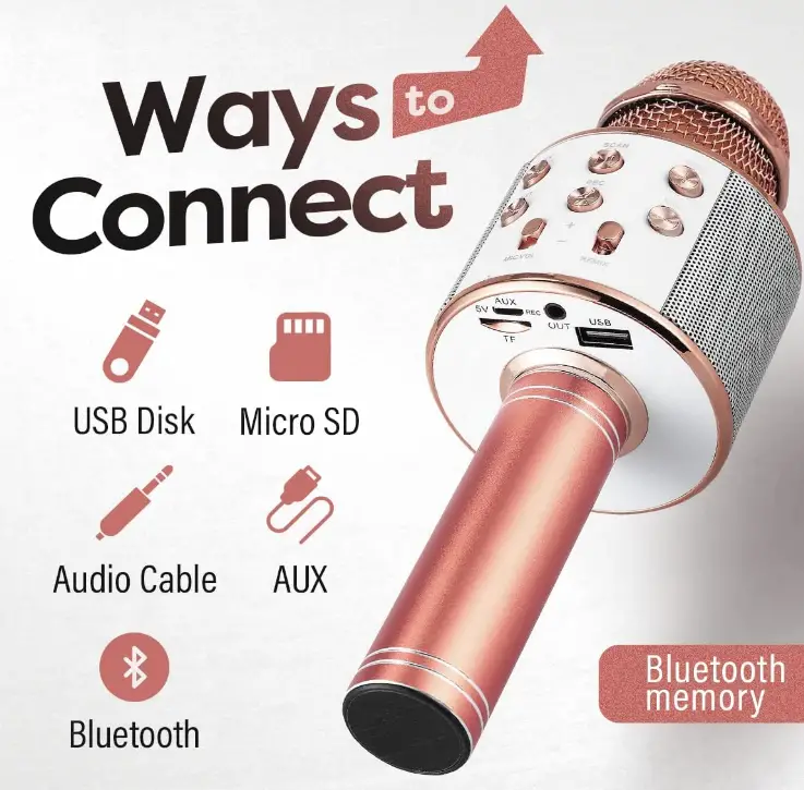 Sassito-Sas1-Karaoke-Microphone-fig-1