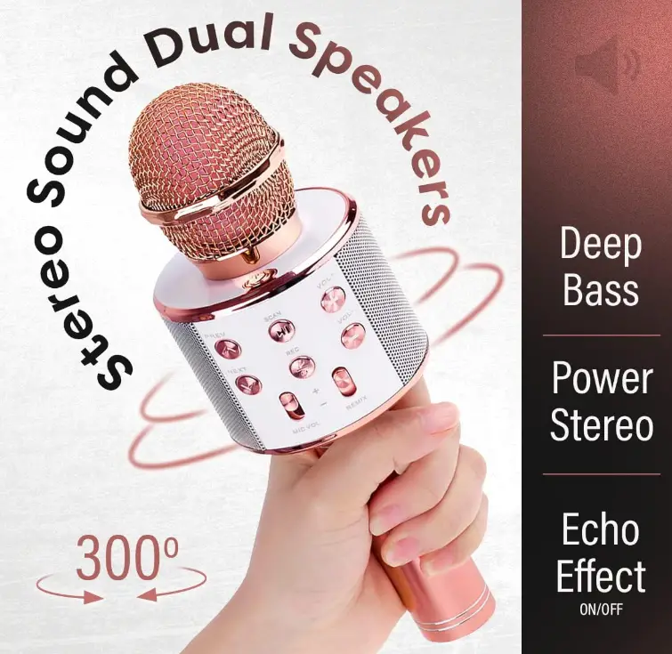 Sassito-Sas1-Karaoke-Microphone-fig-2