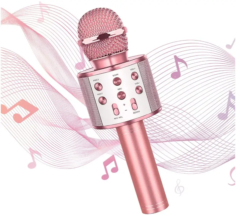 Sassito-Sas1-Karaoke-Microphone-product