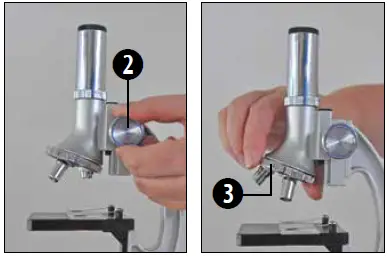 BRESSER-Biotar-300x-1200x-Microscope-FIG-4