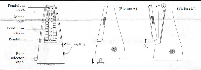 CANTUS-2FC8-Mechanical-Metronome-2