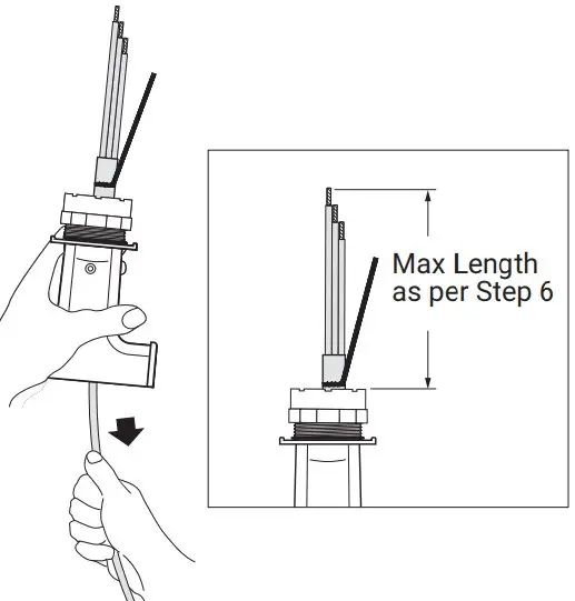 Assembly Instruction