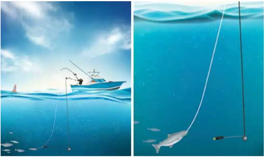 Scotty 1116 Depthpower Electric Downrigger - Fishing