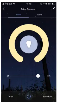 Tuya S1 B WT R11 WiFi and RF AC Triac Dimmer Kit - network