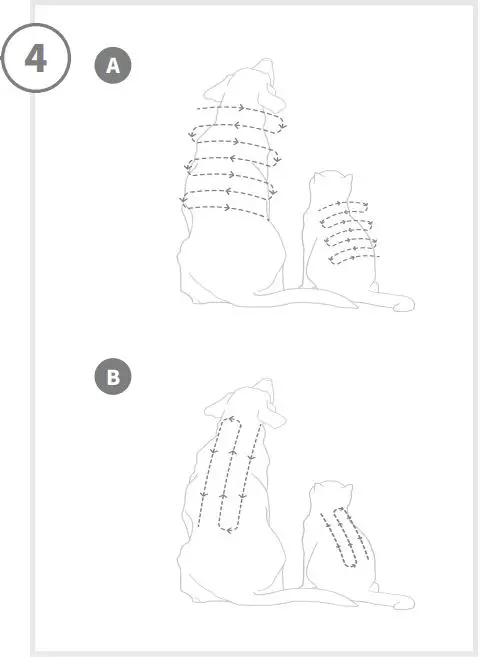 SURE-PETCARE-HRPG1N-Universal-Microchip-Reader-FIG-4
