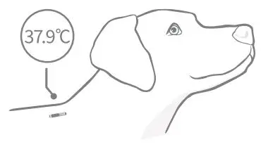 SURE-PETCARE-HRPG1N-Universal-Microchip-Reader-FIG-6