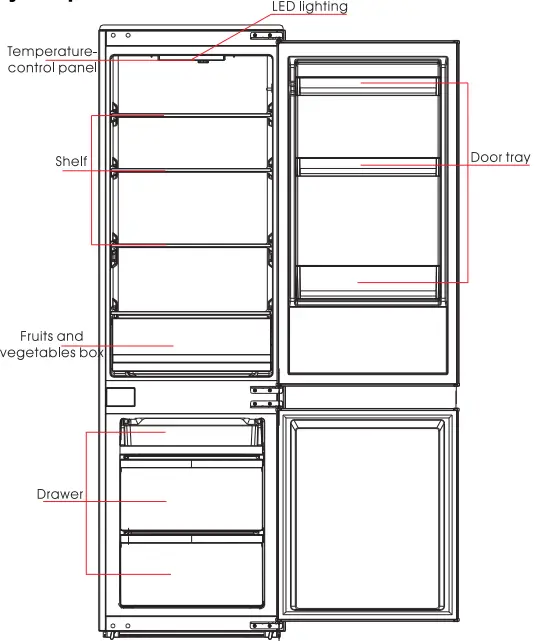 Structure and functions