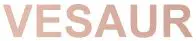 VESAUR-logo