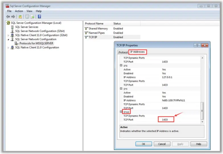 ZKTeco ZKBio Time - SQL Server Configuration 2