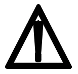 Warning Icon
