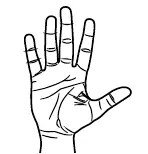 CARSON-X4-Quadcopter-210 2.4-GHz-Radio-Controlled-Helicopter-RTF-47