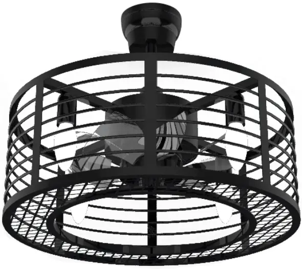 THE HOME DEPOT ANTOINE 17 in. Black Ceiling Fan Caged Ceiling Fan Indoor