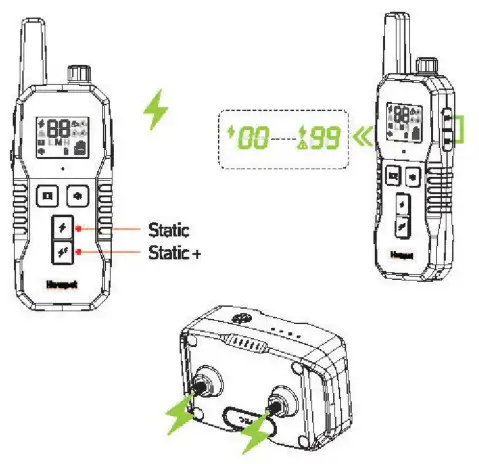 Hawpet DT-69 Dog Training Collar - test light10
