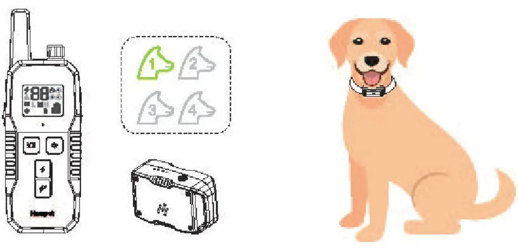 Hawpet DT-69 Dog Training Collar - test light4