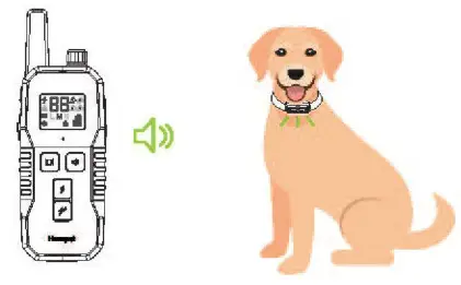 Hawpet DT-69 Dog Training Collar - test light8