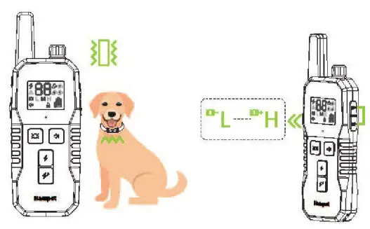 Hawpet DT-69 Dog Training Collar - test light9