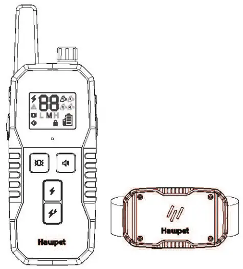 Hawpet DT-69 Dog Training Collar
