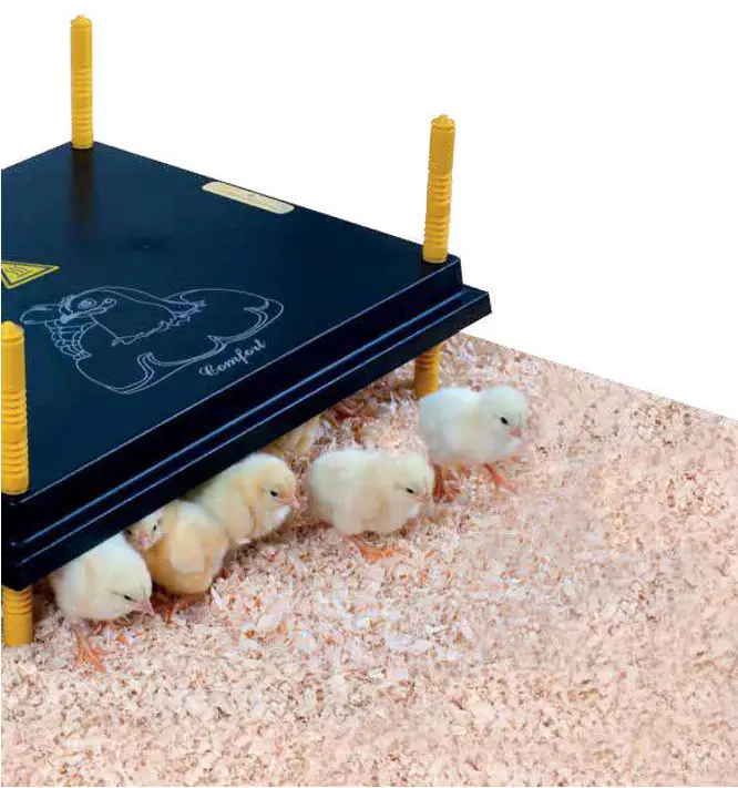 Comfort WP-25 Heating Plate for Chicks