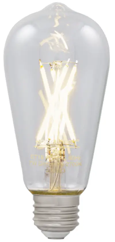 enbrighten 51345i Wi Fi Smart LED Filament Bulb
