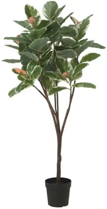 IKEA FEJKA Artificial Rubber Plant