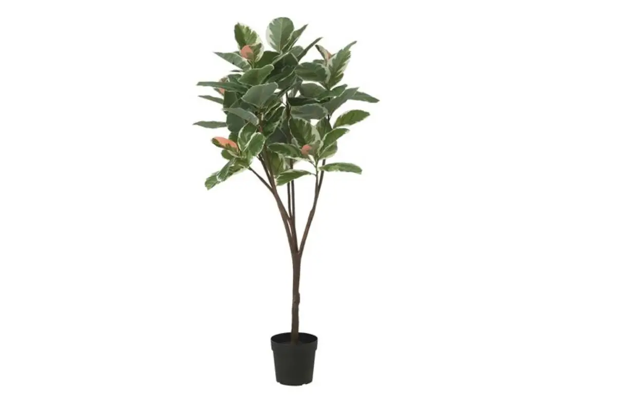 Ikea Fejka Artificial Rubber Plant Instructions