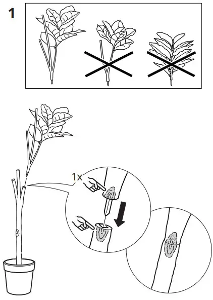 Assembly Instructions