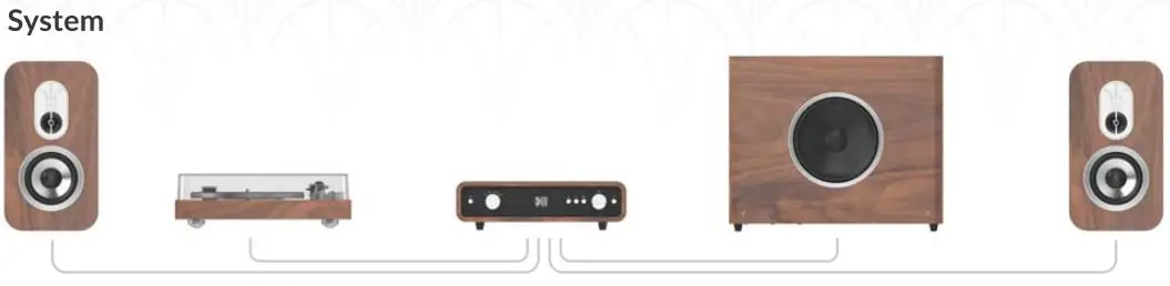 DUM-AUDIO-REV-B-Integrated-Stereo-Amplifier- (8)