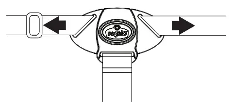 regalo 3612 Gray High Chair - Harness Instructions 2