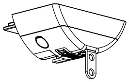 FOREST DS XL Hand Drawn track - COMPONENTS 47