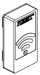FOREST DS XL Hand Drawn track - COMPONENTS 62