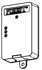 FOREST DS XL Hand Drawn track - COMPONENTS 63