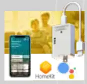 FOREST DS XL Hand Drawn track - Figure 10