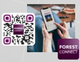 FOREST DS XL Hand Drawn track - Figure 9