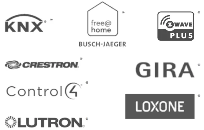 FOREST DS XL Hand Drawn track - Logo 1